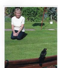 Two favourite birds 001